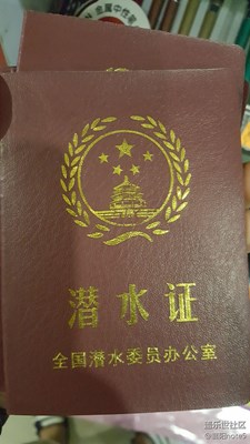 看看什么叫潛水證