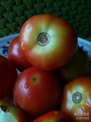 【美食環(huán)游之旅】+水果番茄+綿陽(yáng)市