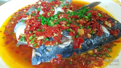 【美食環(huán)游之旅】+韶關(guān)+剁椒魚(yú)頭