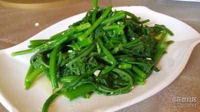 ?【美食環(huán)游之旅】+韶關(guān)+炒南瓜苗