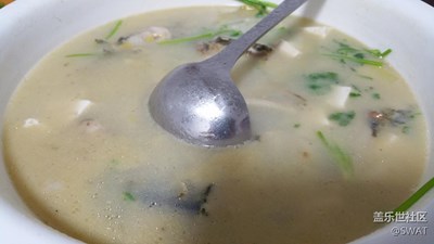 ?【美食環(huán)游之旅】+韶關(guān)+黃骨魚豆腐湯