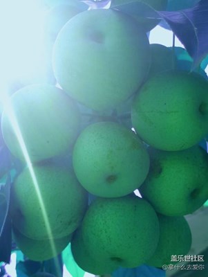 夏季一個誘人の季節(jié)