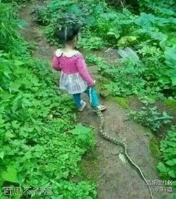 女漢子