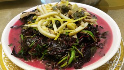 ?【美食環(huán)游之旅】+韶關(guān)+馬齒莧