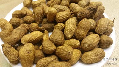 ?【美食環(huán)游之旅】+韶關(guān)+花生