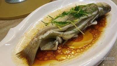 ?【美食環(huán)游之旅】+韶關(guān)+清蒸魚(yú)