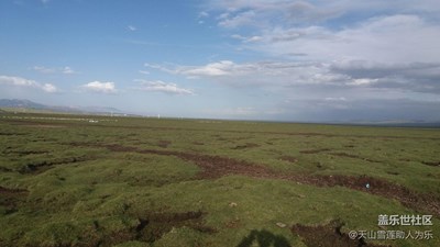祁連山的天真藍(lán)！