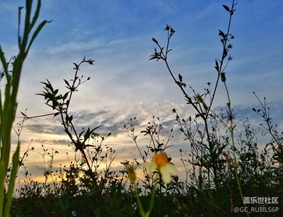 隨手的風(fēng)景