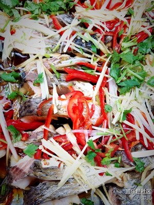 【美食環(huán)游之旅】+北京+清蒸魚