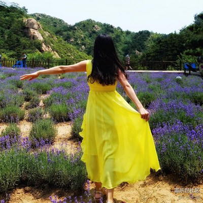 帶上S7與好友在薰衣草花田和陽光做游戲