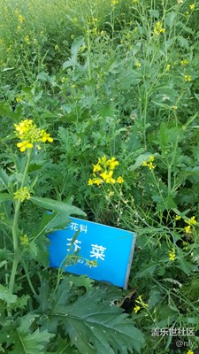植物園農(nóng)作物