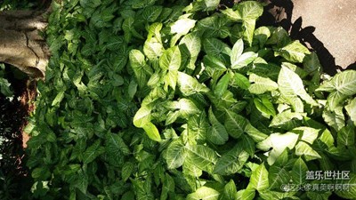 拍吧！！    拍