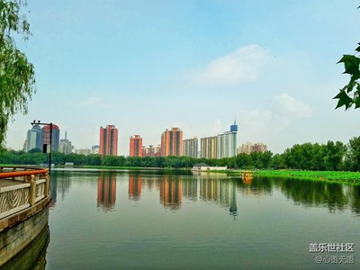 【S7】荷塘隨拍