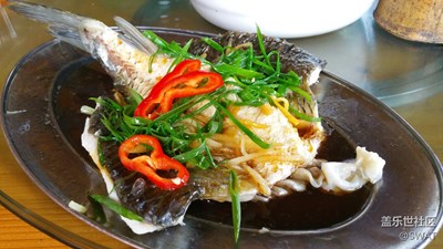 ?【美食環(huán)游之旅】+廣州+蒸魚(yú)