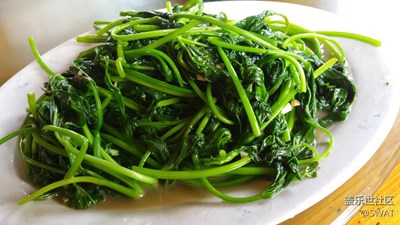 ?【美食環(huán)游之旅】+廣州+炒番薯葉