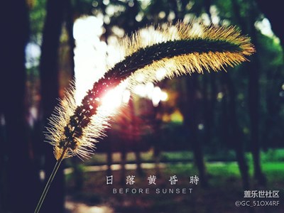 s7e 黃昏