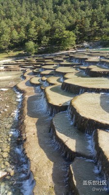 【分享】n4照相效果！