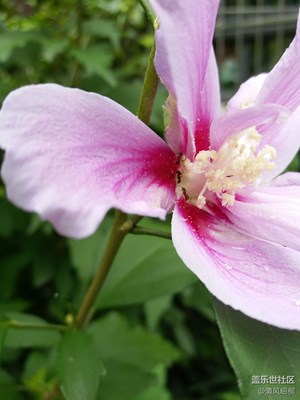 細(xì)看入微的C5