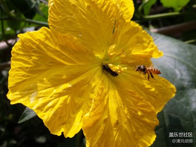 強(qiáng)光下C5的表現(xiàn)