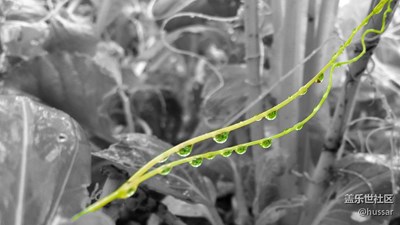 note4隨拍_大雨沖走了色彩