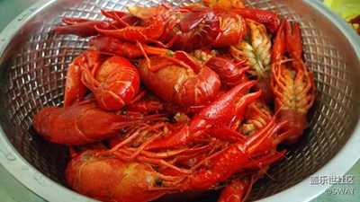 ?【美食環(huán)游之旅】+廣州+小龍蝦