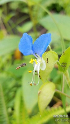 心中有美處處唯美！
