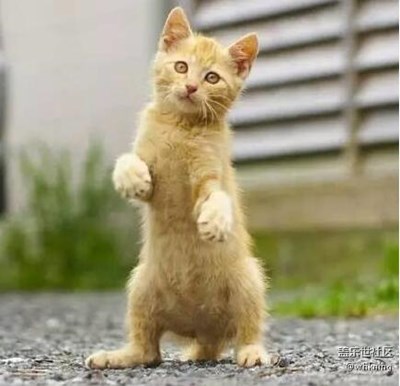 抓拍也是一門藝術(shù)……