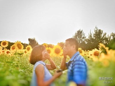 與向日葵的約會(huì)（三）愛(ài)情