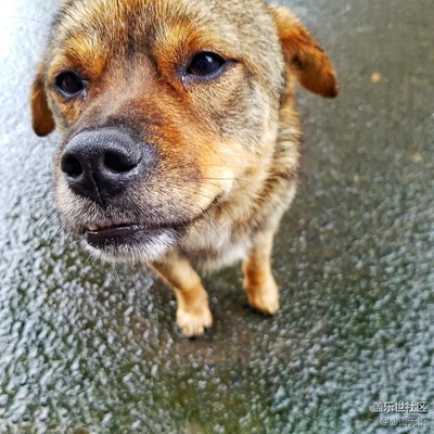 帶著S7游椏溪國(guó)際慢城