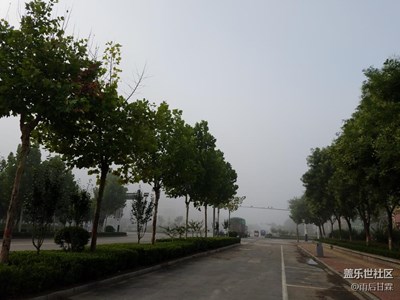 大霧