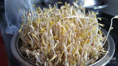 自家發(fā)的豆芽