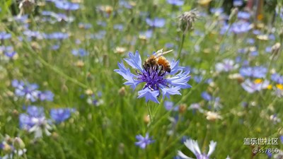 夏日隨拍（note5）