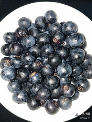 【攝影】上班也有藍(lán)莓吃！