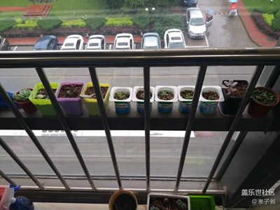 辦公室里的小清新