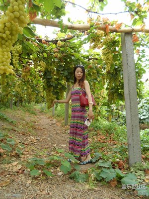 最甜不過(guò)吐魯番