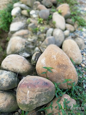 s7也能拍出詩意！