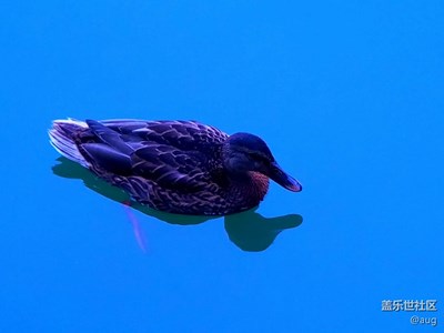 S7 edge  雨后亂拍