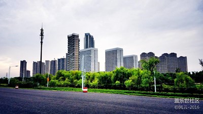 色調(diào)之美------綠色