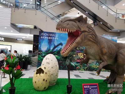 S“7”待你參加恐龍展