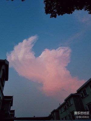 云朵