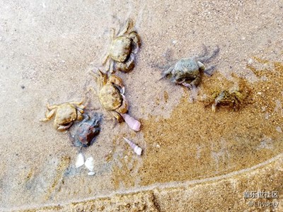 前兩個月拍的風景照，忍不住分享