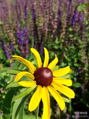 沒覺得曝光過度??