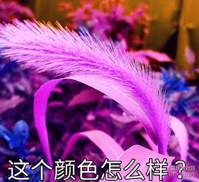 普通的綠草換個顏色