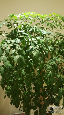 【夏夜】+全南+夏夜工作中