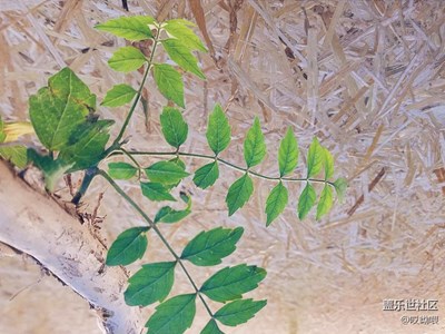 心簡單 世界就簡單