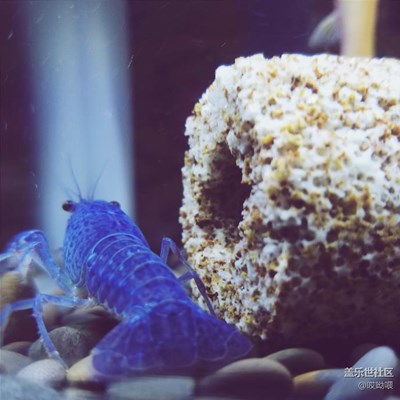 鏡頭下看似安靜的你