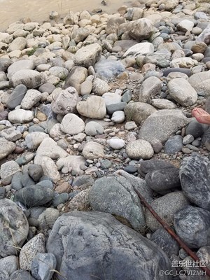 黃河石