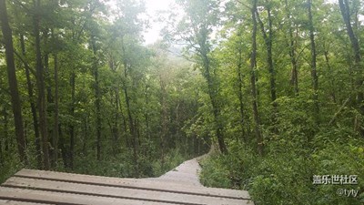 人生就像上臺階