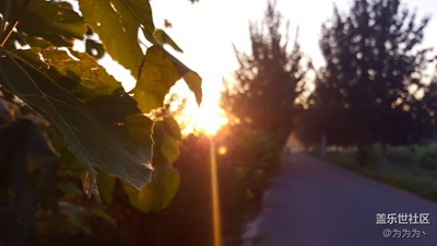 清晨五點的陽光