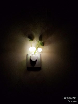 我的蘑菇燈